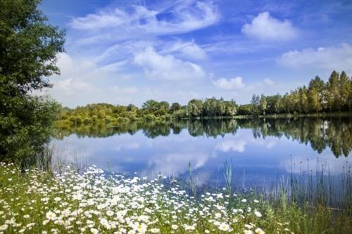Lake Pochard Holiday Lodges Саут-Керни Экстерьер фото